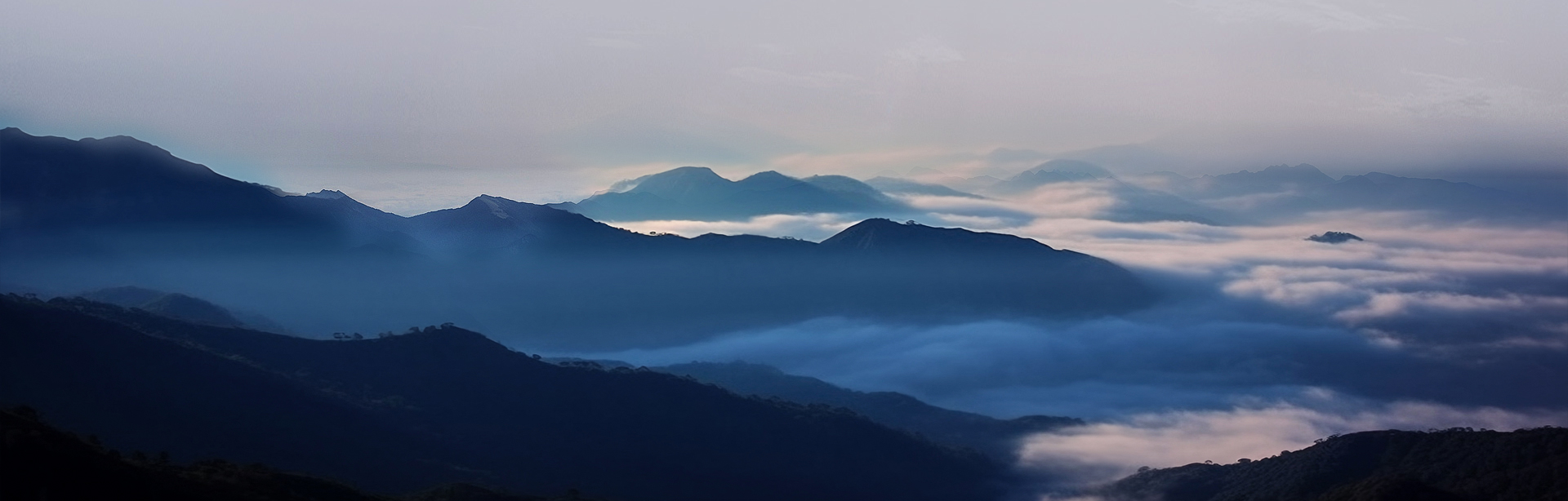 welcome海洋之神新材料股份有限公司