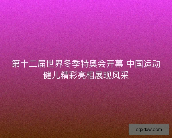 第十二届世界冬季特奥会开幕 中国运动健儿精彩亮相展现风采